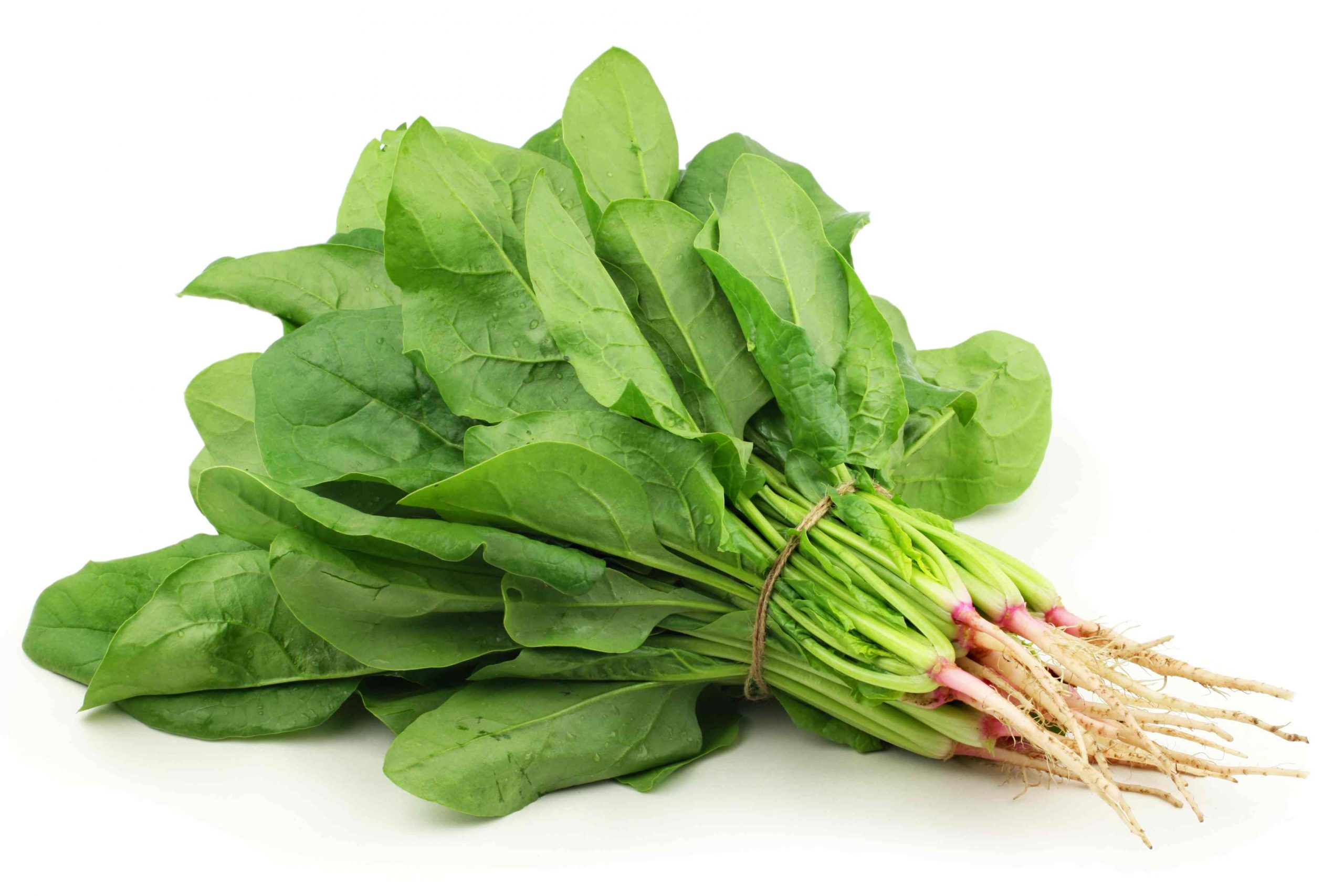 吃菠菜未焯水导致肾衰竭！肿瘤病人吃这5种蔬菜一定要小心！