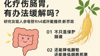 人参皂苷Rh4缓解顺铂对肠道的副作用