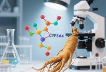 人参皂苷与 CYP3A4 关系