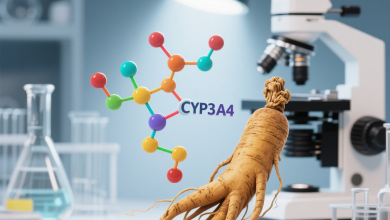 人参皂苷与 CYP3A4 关系