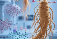 多种人参皂苷对PI3K通路表现出协同抑制作用