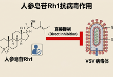 人参皂苷Rh1抗病毒作用