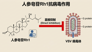人参皂苷Rh1抗病毒作用